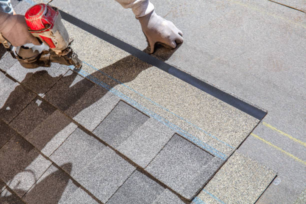 Best Roof Gutter Cleaning  in Montvale, NJ